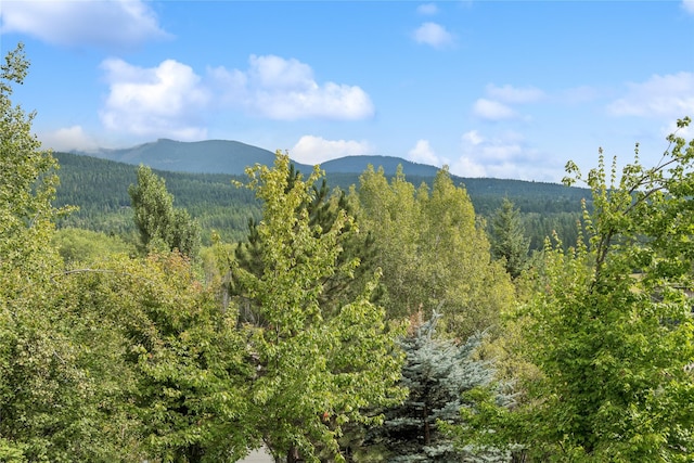 970 Colorado Ave, Whitefish, MT 59937 - view of mountain backdrop with a forest
