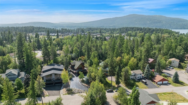 970 Colorado Ave, Whitefish, MT 59937 - drone / aerial view of a forest and a mountainous background