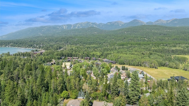 970 Colorado Ave, Whitefish, MT 59937 - aerial view of property's location with a forest and a water and mountain view