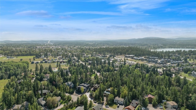 970 Colorado Ave, Whitefish, MT 59937 - aerial view of property's location featuring a mountain backdrop and a forest