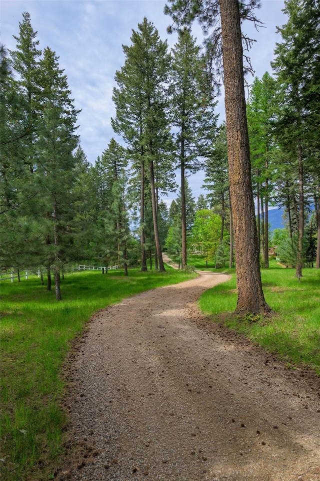 33702 N Finley Point Rd, Polson, MT 59860 - view of street