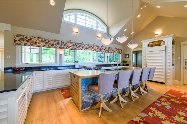 33702 N Finley Point Rd, Polson, MT 59860 - kitchen with built in refrigerator, high vaulted ceiling, light wood-type flooring, white cabinets, and dark countertops