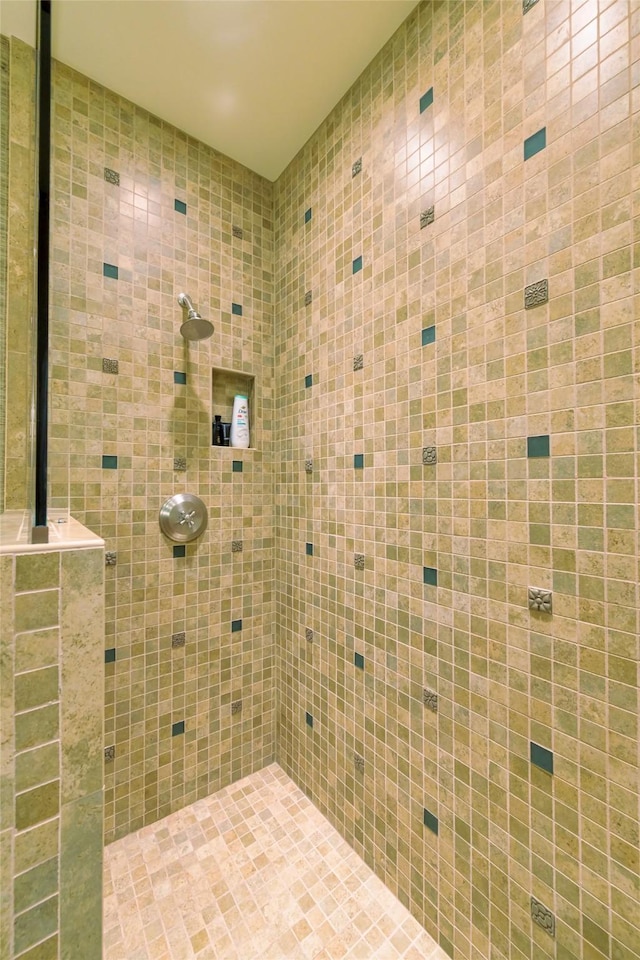 33702 N Finley Point Rd, Polson, MT 59860 - bathroom featuring tiled shower