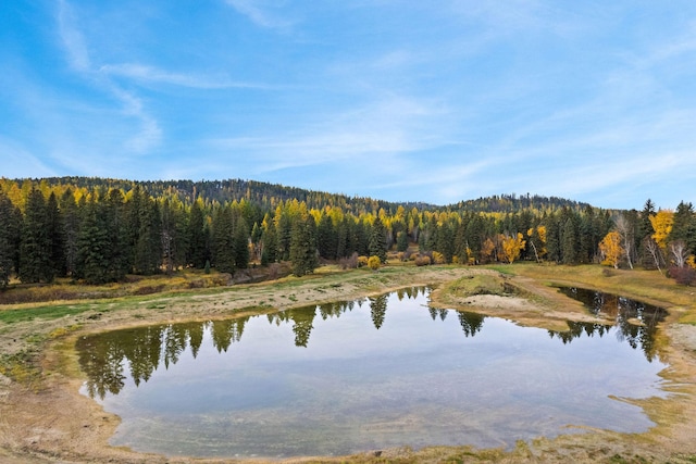 165 River Ranch Rd, Whitefish, MT 59937 - water view featuring a forest