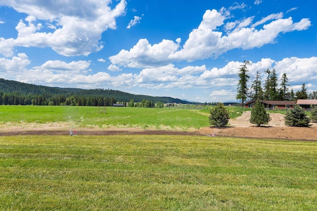 165 River Ranch Rd, Whitefish, MT 59937 - view of grassy yard with a view of countryside and a wooded view
