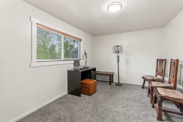 606 S Avenue W, Missoula, MT 59801 - carpeted office with baseboards