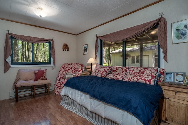 785 La Brant Rd, Bigfork, MT 59911 - bedroom featuring crown molding, wood finished floors, and a baseboard radiator