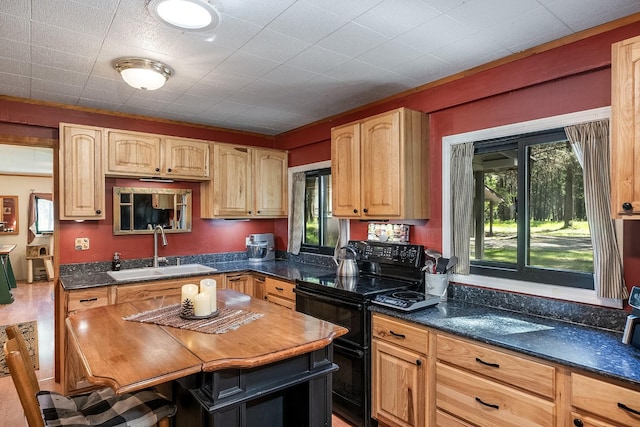 785 La Brant Rd, Bigfork, MT 59911 - kitchen featuring black / electric stove, butcher block countertops, and a kitchen island