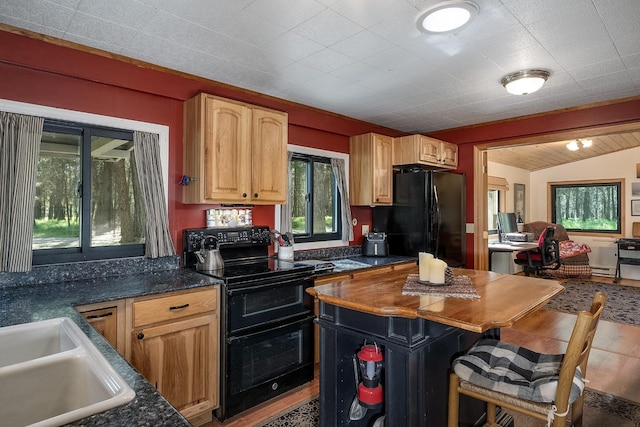 785 La Brant Rd, Bigfork, MT 59911 - kitchen with black appliances and wood finished floors