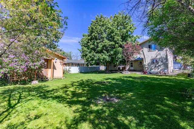 1319 3rd St, Whitefish, MT 59937 - view of yard