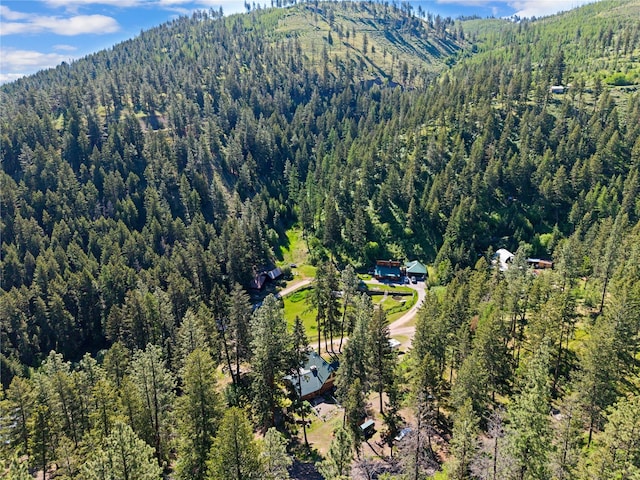 2700 Lyon Creek Rd, Missoula, MT 59804 - aerial view of property's location featuring a forest and a mountainous background