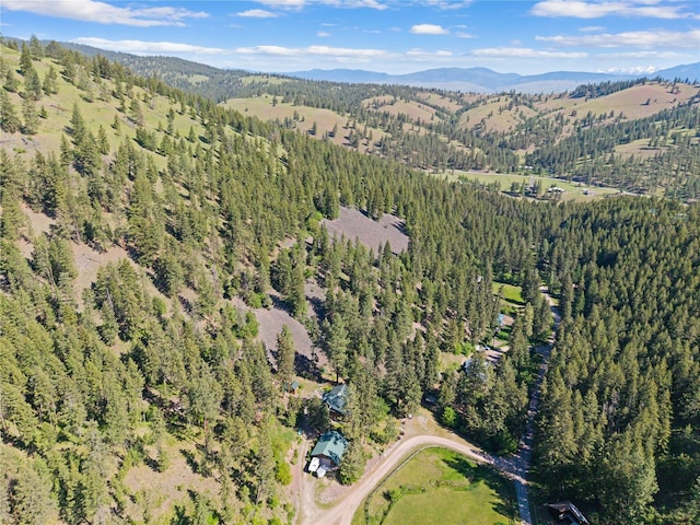 2700 Lyon Creek Rd, Missoula, MT 59804 - aerial view of property's location featuring a forest and a mountain backdrop