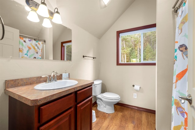 115 Wagon Wheel Rd, Whitefish, MT 59937 - bathroom featuring lofted ceiling, vanity, wood finished floors, and a shower with shower curtain