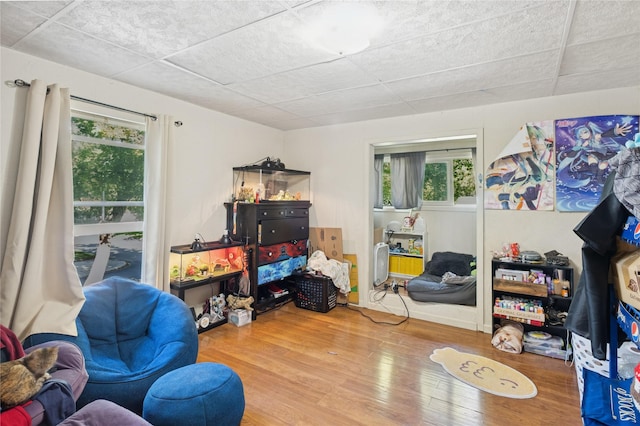 44 5th Ave E, Kalispell, MT 59901 - playroom with healthy amount of natural light, wood finished floors, and a drop ceiling