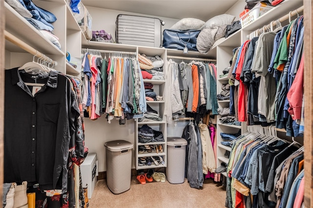 224 Forest Edge Trl, Kalispell, MT 59901 - walk in closet with carpet flooring