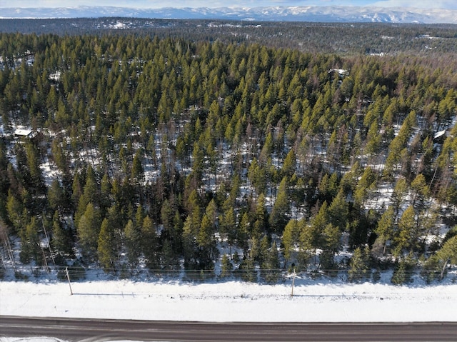 119 Stageline Ct, Whitefish, MT 59937