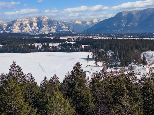119 Stageline Ct, Whitefish, MT 59937