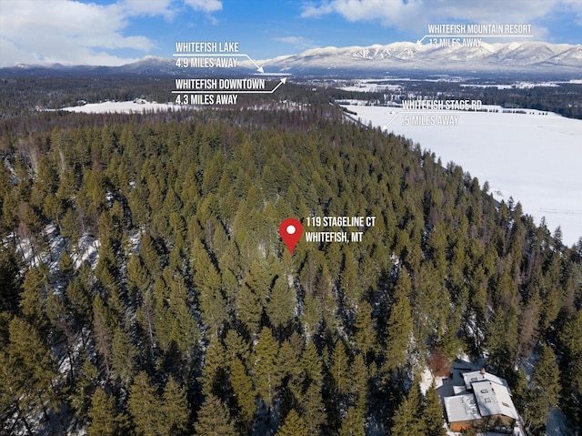 119 Stageline Ct, Whitefish, MT 59937