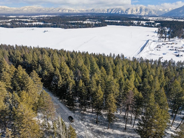 119 Stageline Ct, Whitefish, MT 59937