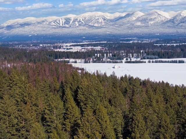 119 Stageline Ct, Whitefish, MT 59937
