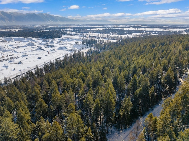 119 Stageline Ct, Whitefish, MT 59937