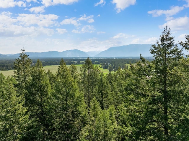 119 Stageline Ct, Whitefish, MT 59937