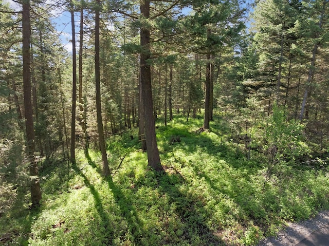119 Stageline Ct, Whitefish, MT 59937
