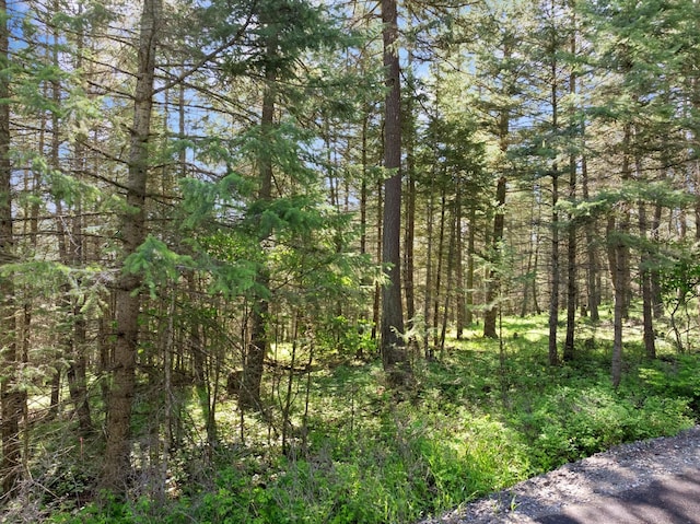 119 Stageline Ct, Whitefish, MT 59937