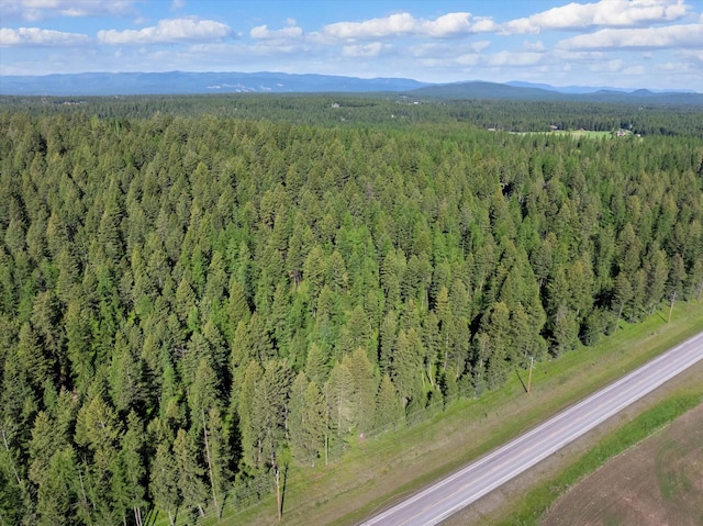 119 Stageline Ct, Whitefish, MT 59937