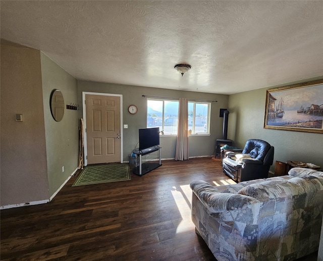 548 N Daly Ave, Hamilton, MT 59840 - living area featuring a wood stove, wood finished floors, and a textured ceiling