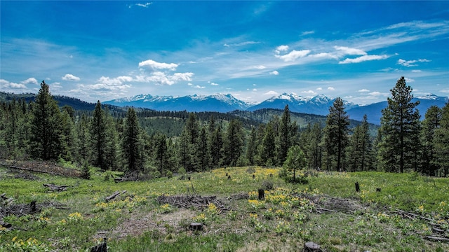 3408 Whiskey Jack Ln, Hamilton, MT 59840 - view of mountain background with a forest
