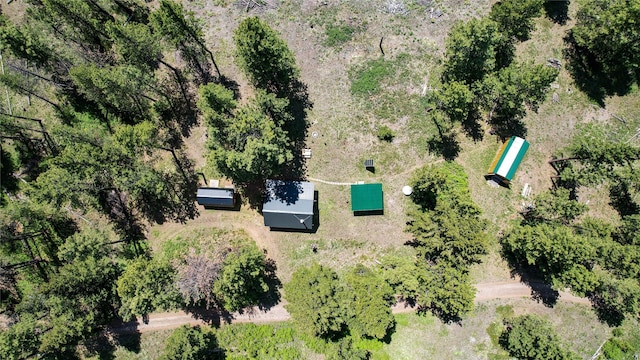 3408 Whiskey Jack Ln, Hamilton, MT 59840 - aerial view of property and surrounding area