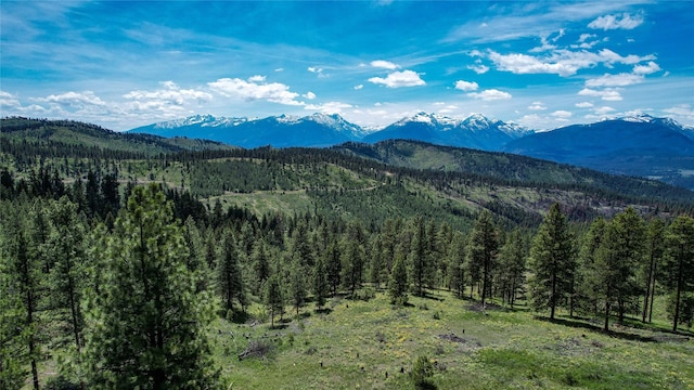3408 Whiskey Jack Ln, Hamilton, MT 59840 - view of mountain backdrop with a heavily wooded area