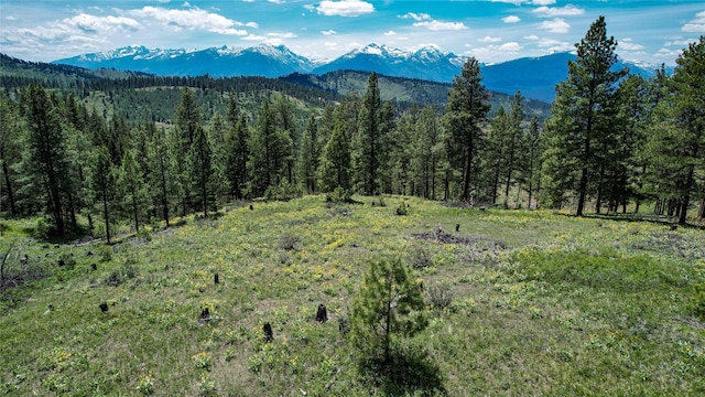 3408 Whiskey Jack Ln, Hamilton, MT 59840 - view of mountain backdrop with a heavily wooded area