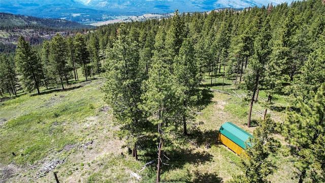 3408 Whiskey Jack Ln, Hamilton, MT 59840 - view of mountain backdrop with a heavily wooded area