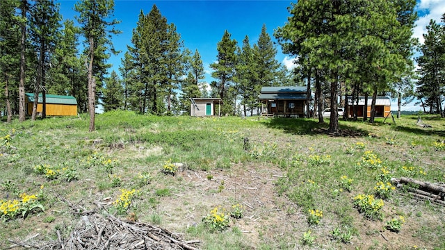 3408 Whiskey Jack Ln, Hamilton, MT 59840 - view of yard featuring a storage unit