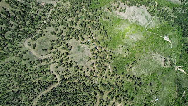 3408 Whiskey Jack Ln, Hamilton, MT 59840 - aerial view