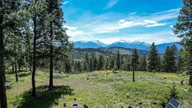 3408 Whiskey Jack Ln, Hamilton, MT 59840 - view of mountain background with a forest