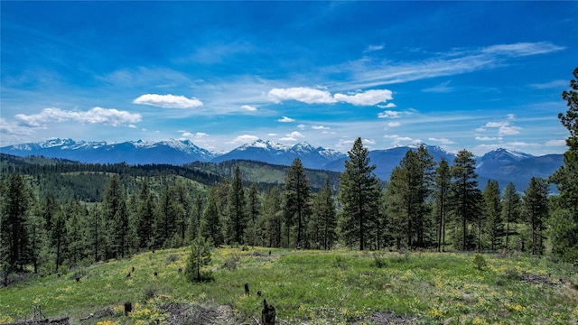 3408 Whiskey Jack Ln, Hamilton, MT 59840 - view of mountain background featuring a heavily wooded area