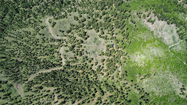 3408 Whiskey Jack Ln, Hamilton, MT 59840 - bird's eye view