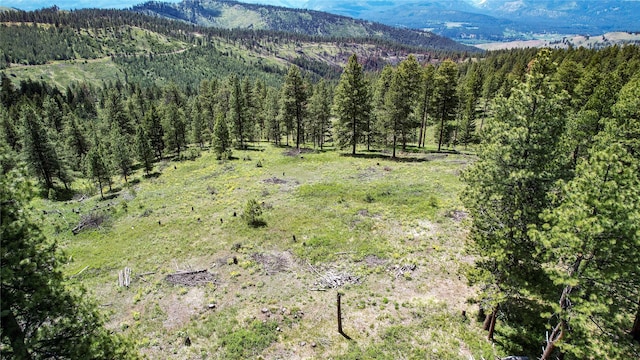 3408 Whiskey Jack Ln, Hamilton, MT 59840 - view of mountain background with a forest