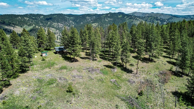 3408 Whiskey Jack Ln, Hamilton, MT 59840 - view of mountain backdrop featuring a forest