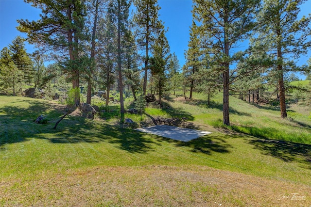 854 State Highway 282, Clancy, MT 59634 - view of green lawn