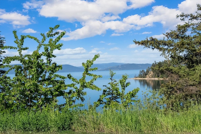 24194 Mt Highway 35, Bigfork, MT 59911 - water view with mountains