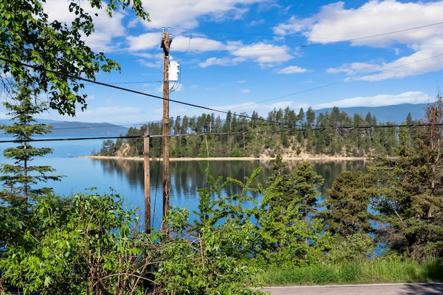 24194 Mt Highway 35, Bigfork, MT 59911 - water view featuring a mountainous background