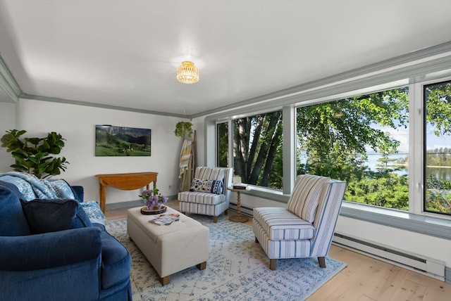 24194 Mt Highway 35, Bigfork, MT 59911 - living room with a baseboard radiator, plenty of natural light, and light wood-style flooring