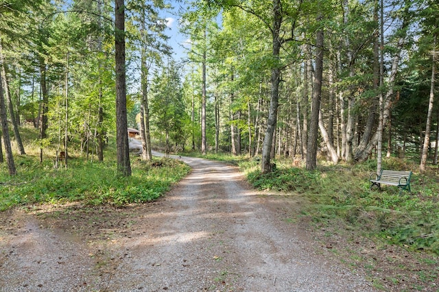 176 Blaine Ridge Rd, Kalispell, MT 59901 - view of road featuring a forest view