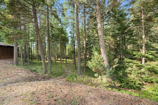 176 Blaine Ridge Rd, Kalispell, MT 59901 - view of woods
