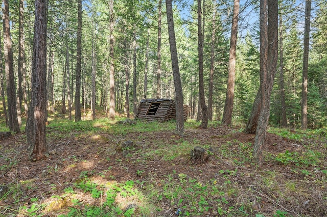 176 Blaine Ridge Rd, Kalispell, MT 59901 - view of tree filled area