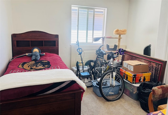 120 N 8th St, Hamilton, MT 59840 - bedroom featuring carpet